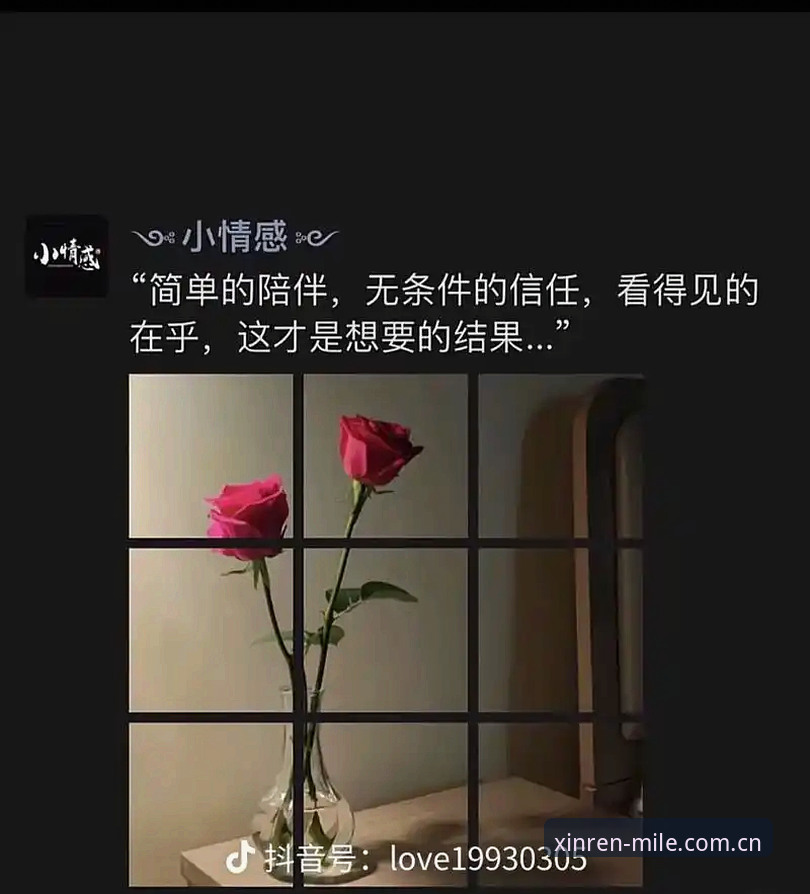 看得见的信任V3网页版深度评测：从“找不到入口”到“流畅切换”究竟改了什么？